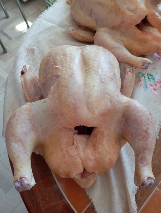 Мясо бройлеров, домашние.