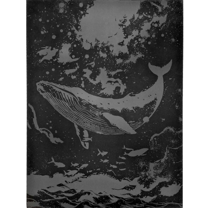 Planse razuibile (set/una la alegere)