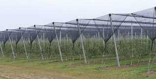 Plasa de protectie anti-grindina DENSITATE 34 gr/m² - 46 gr/m²