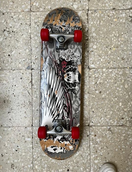 Skate board copii