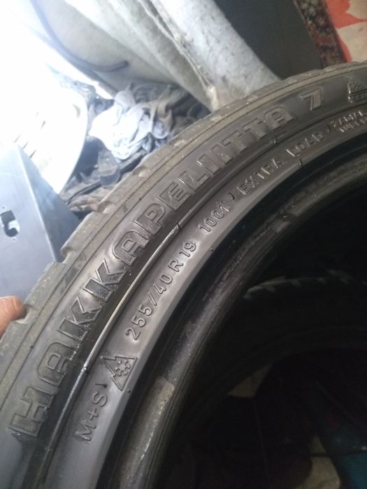 Резина на 19  .255.  40