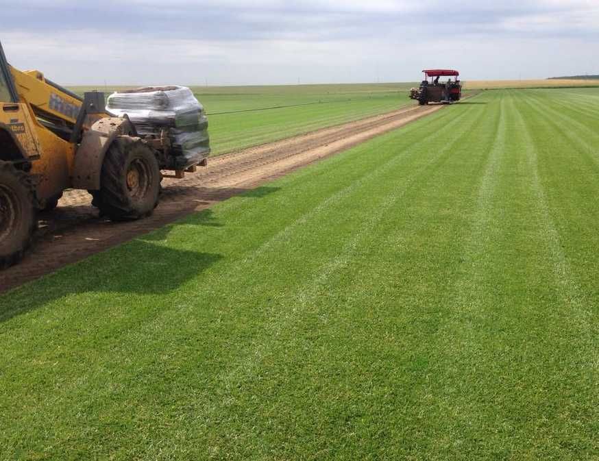 Soluții Verzi pentru Grădină – Gazon Premium cu Montaj