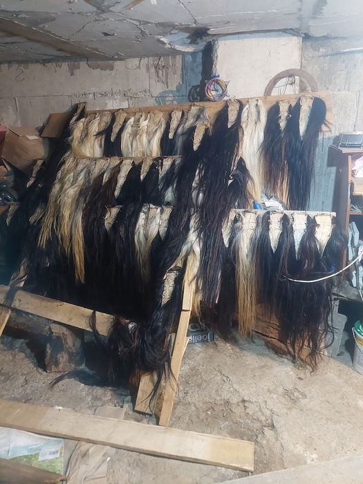 Cozi de cal pentru măști sau pleaftura