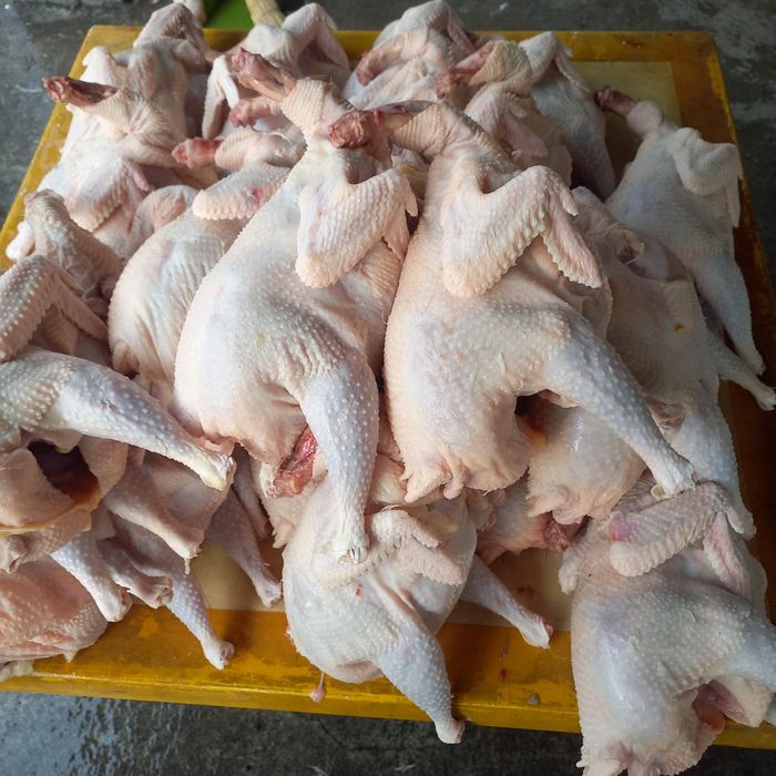 Куры домашние тушки