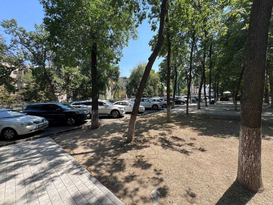АРЕНДА Помещения М.Космонавтов 85 м² | 1 ЛИНИЯ
