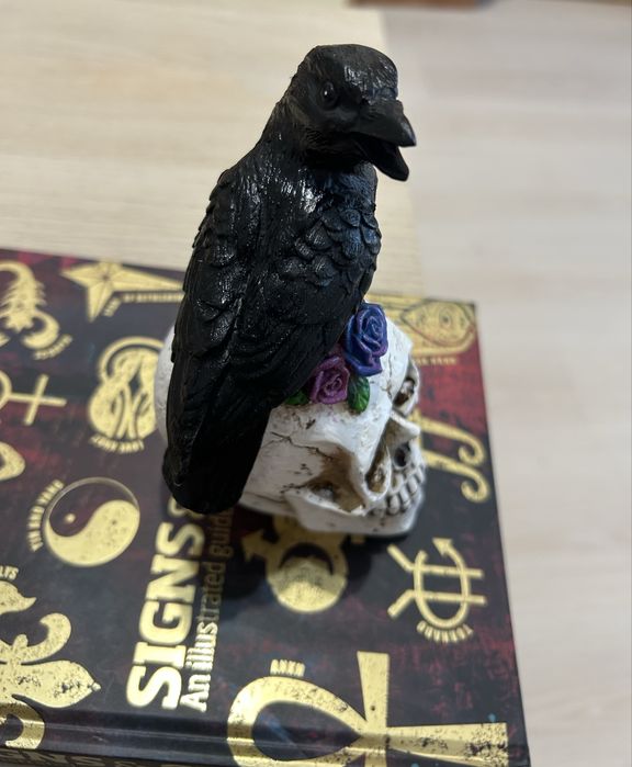 Un craniu cu un corb