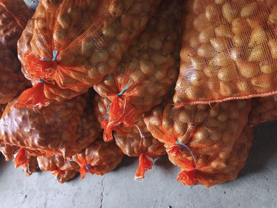 Pere bio pentru suc