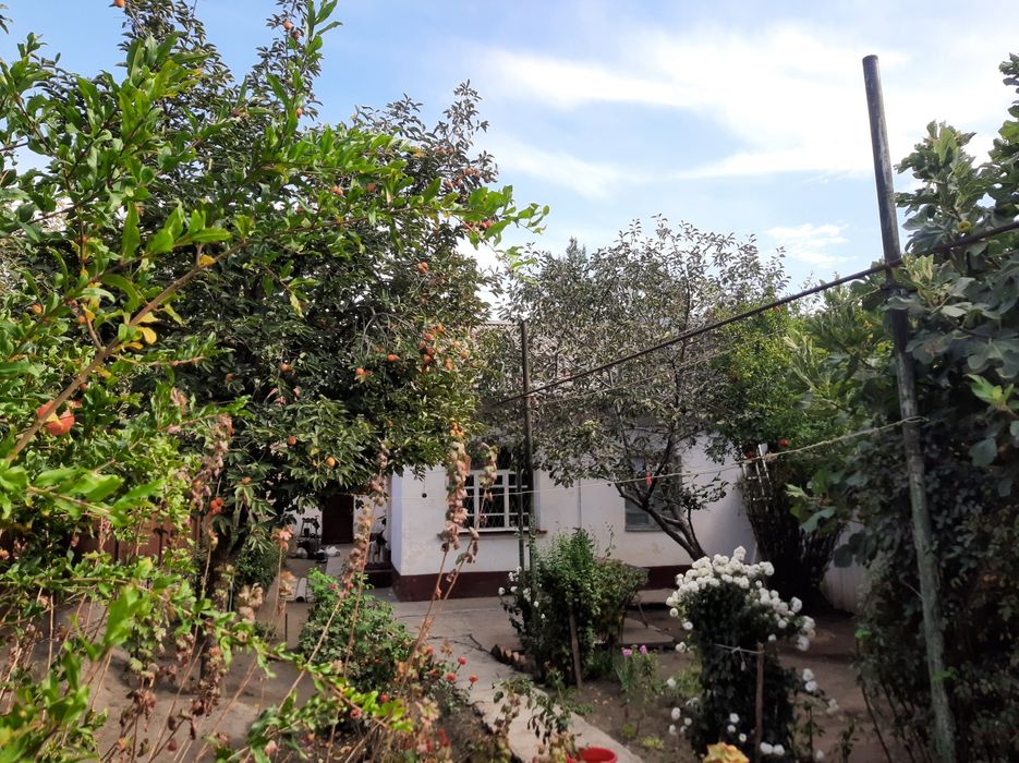 Дом в районе сельхоз института