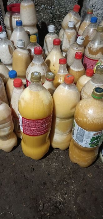 Продаю горный мёд в кабанбае