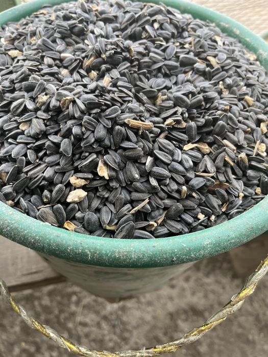 Жем арпа бидай отруби