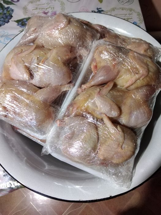 Продам мясо перепелов