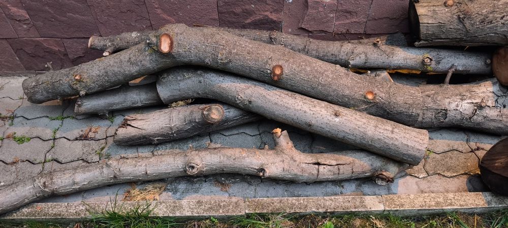 Продавам орехови трупи