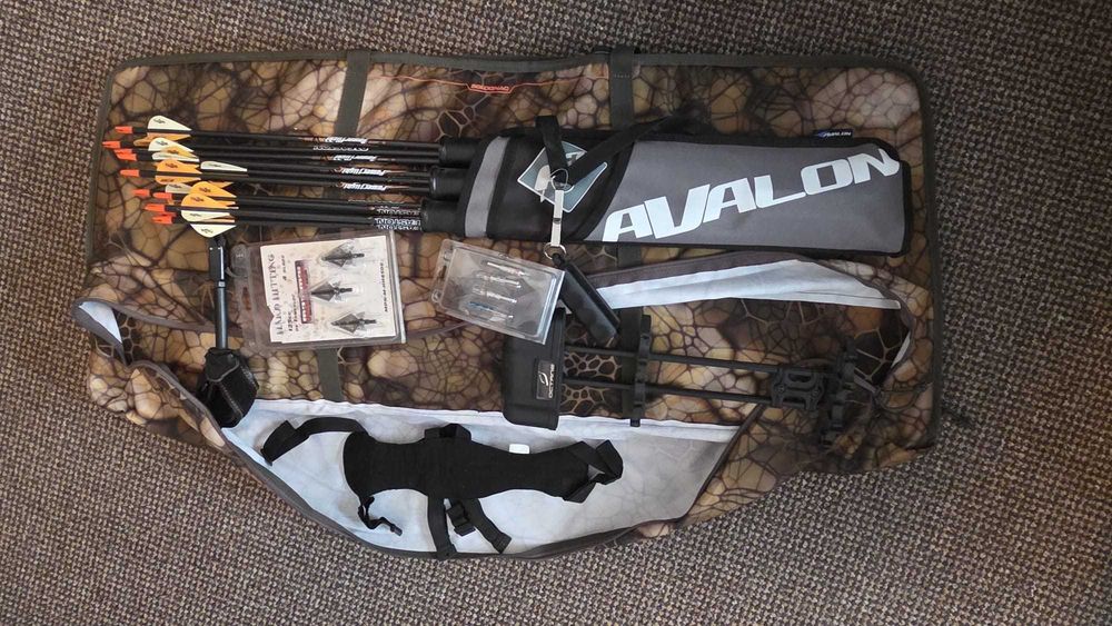 Pachet complet arc compound Bowtech Carbon Icon + accesorii