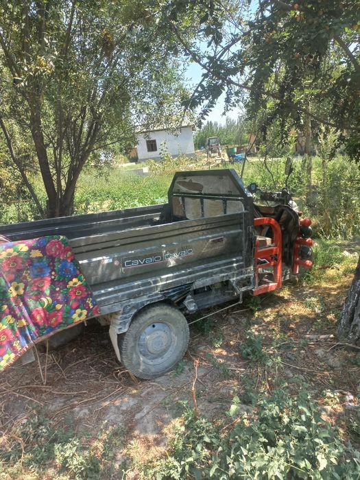 Sotiladi yangi chorvo mollariga barter boladi narxi 15