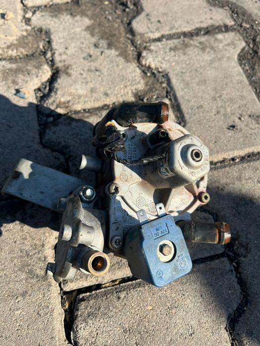 Гбо бу , stag польша