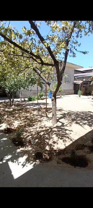 Дом продаётся адрес уч Кахрамон