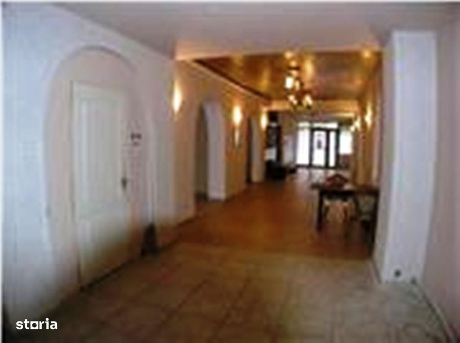 spatiu comercial piata Galati