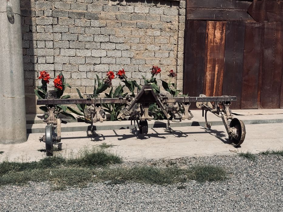 Traktor mtz 80 kok rang