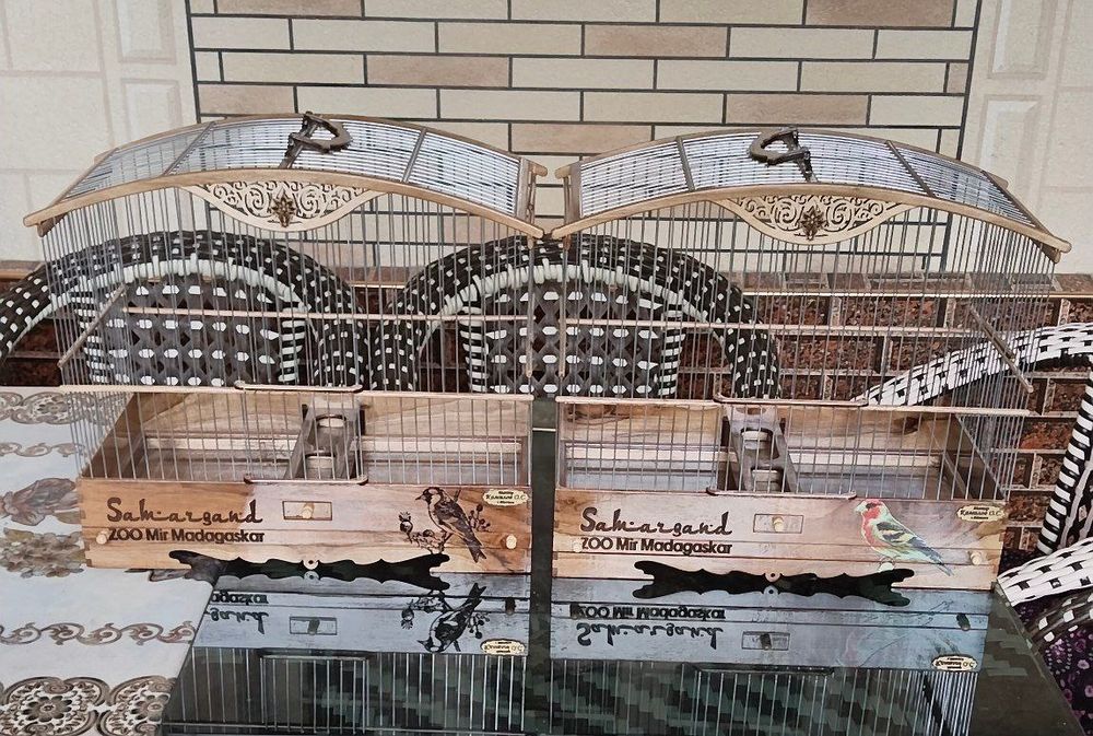 юнгок клеткалар сотилади