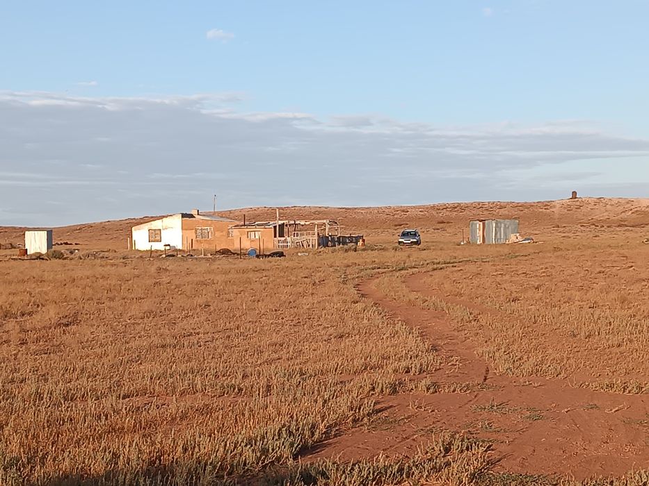 Сельское хозяйство