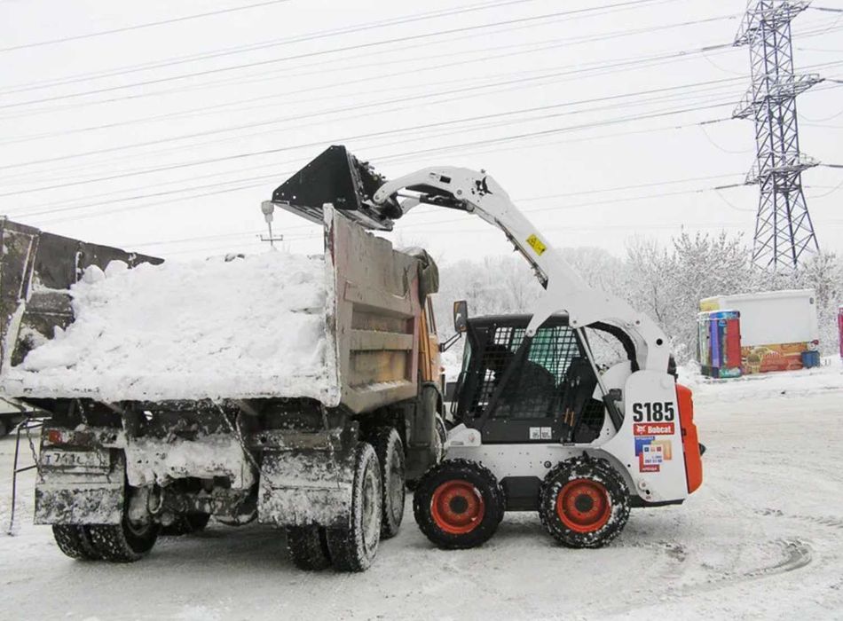Минипогрузчик бобкат Аренда Бопкат  мини погрузчик мксм барсик  щетка