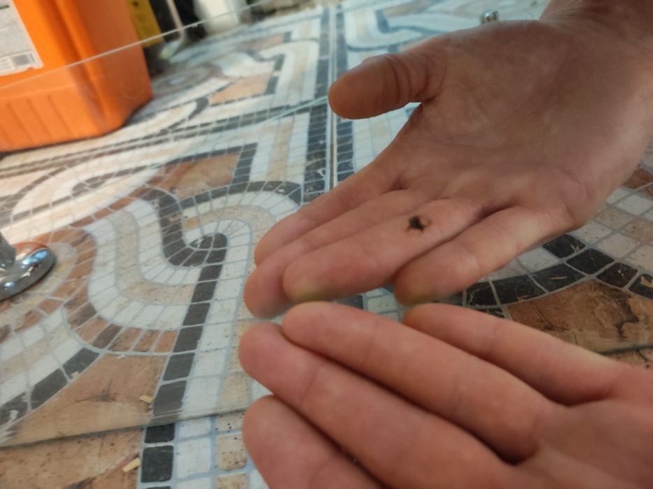 Полочка, зеркало в подарок