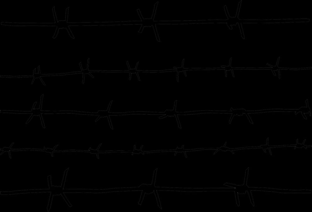 Егоза, СББ, и Колючка проволка!