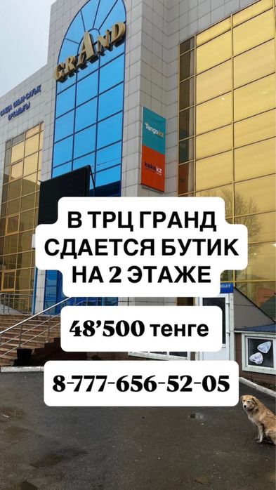 Аренда торговой площади