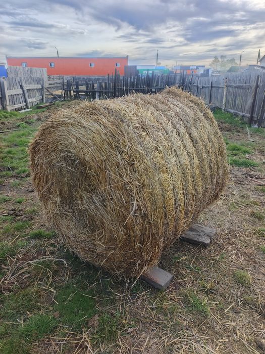 Продаётся Салома