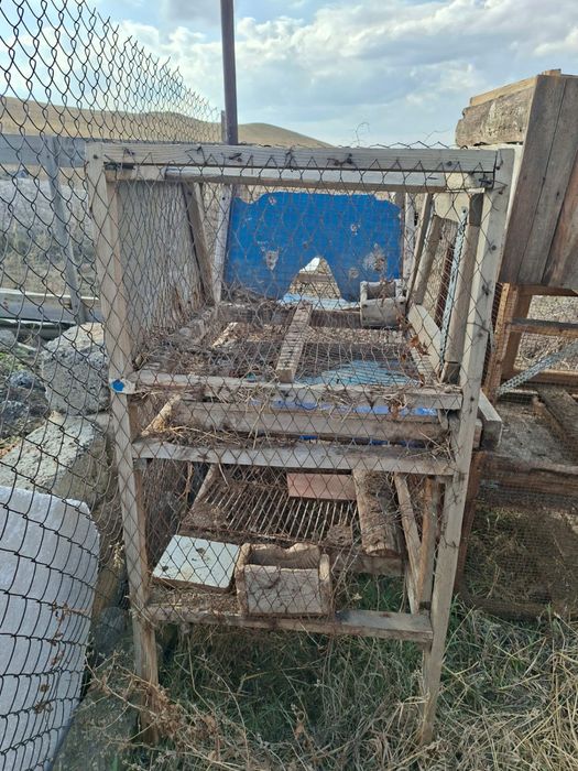 Продаи клетки для кроликов кролят