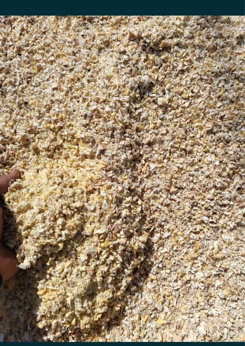 Vand crimping porumb