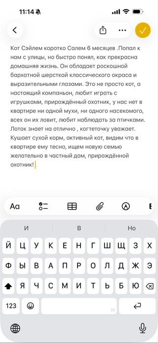 Черный мини-тигр ищет самый лучший дом