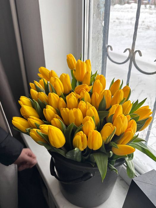 Тюльпаны крупные