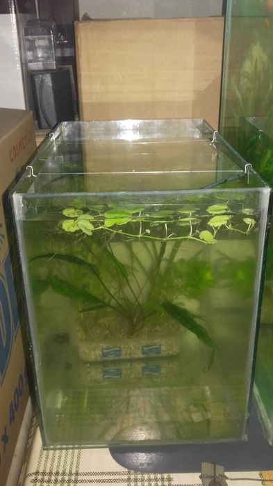 Vând acvarii noi și folosite