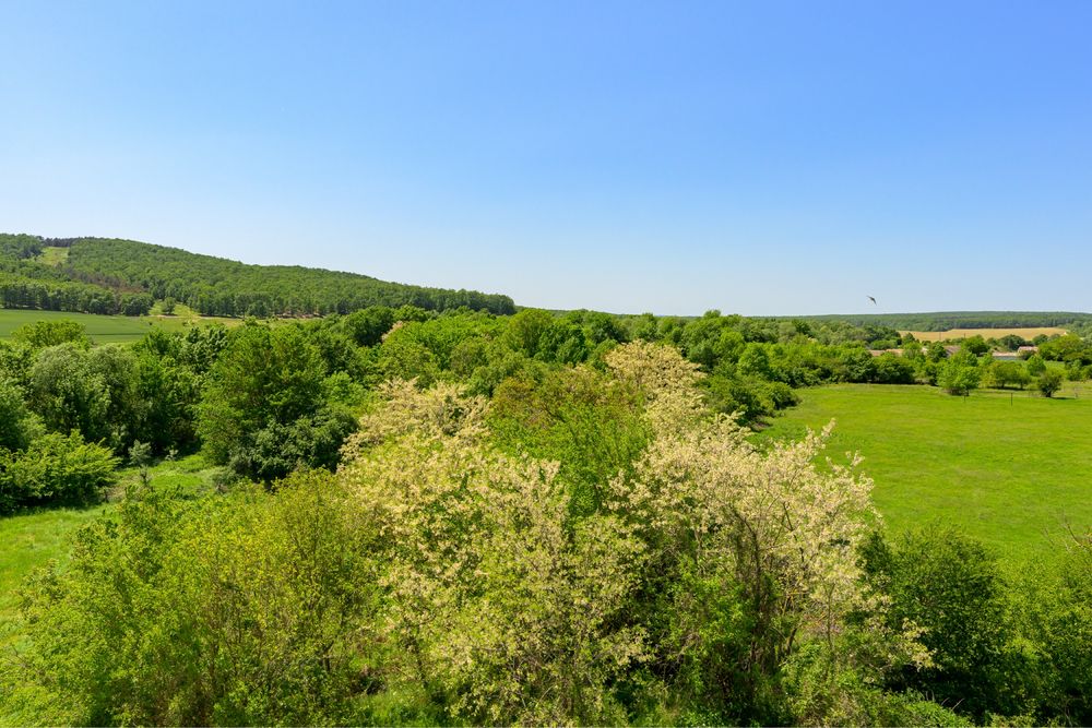 Продава се Едностаен апартамент в Варна, Младост 1 - 38 кв.м за 1343 €/кв.м - Снимка #5