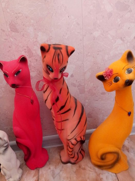 Кошки бархатные разные