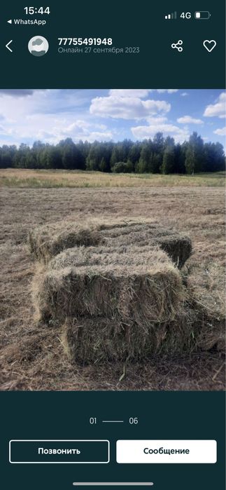 Тюк разнотравый лиман зеленный