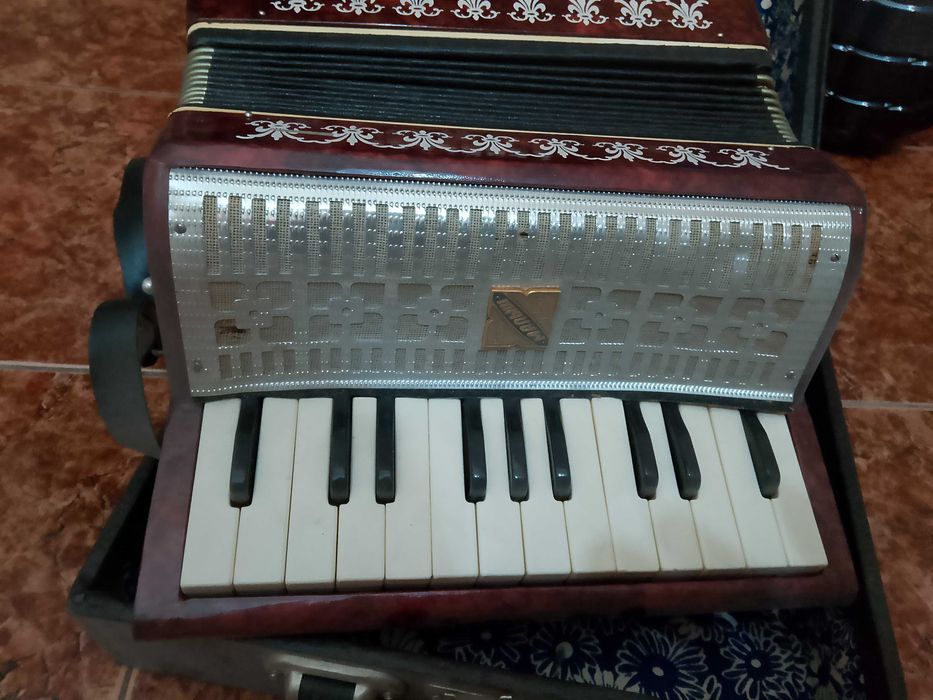 Детски Акордеон-