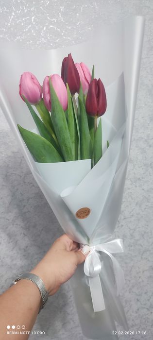 Голландские Тюльпаны к 8 Марта !!!