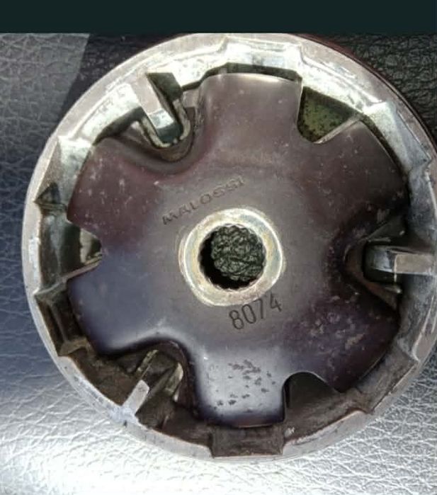 Variator și oale Malossi