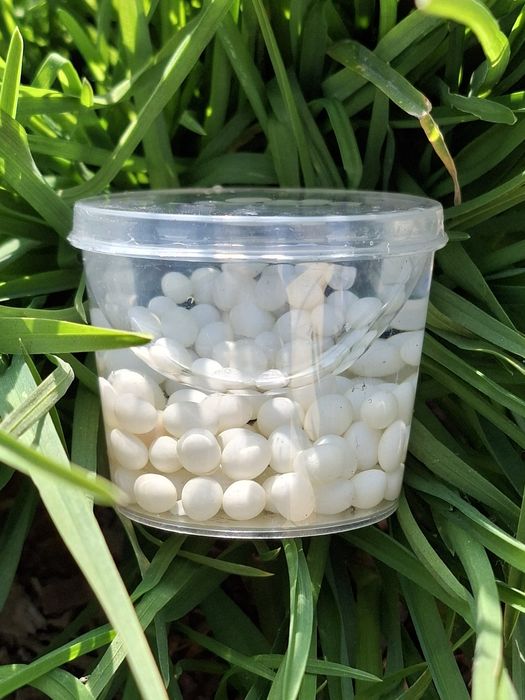 Tabbiy organik ulitka tuxumi Krem va Maska tayyorlash uchun