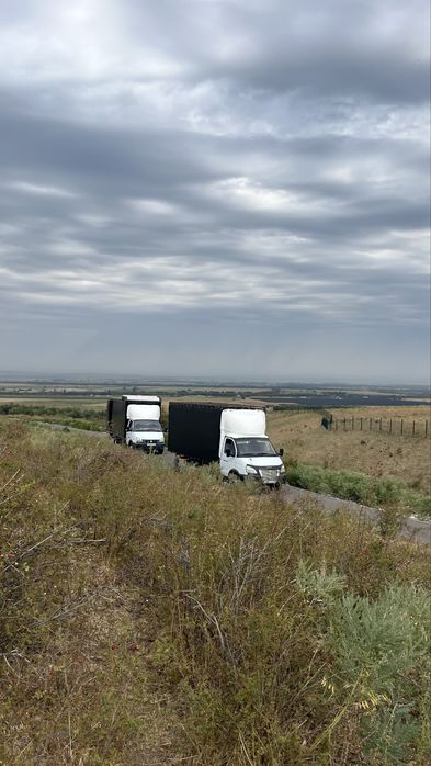 Газель скотовоз РК и РФ