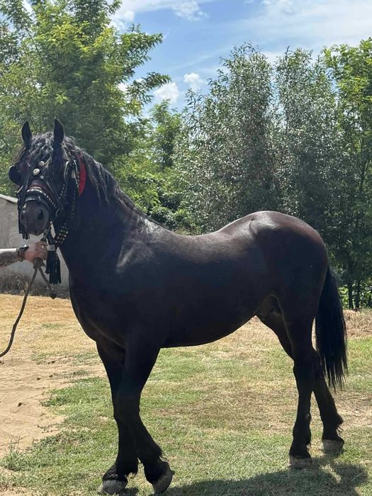 Vand sau schimb cu atv de 500 cc sau tractor