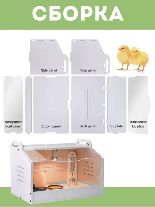 Брудер для цыплят