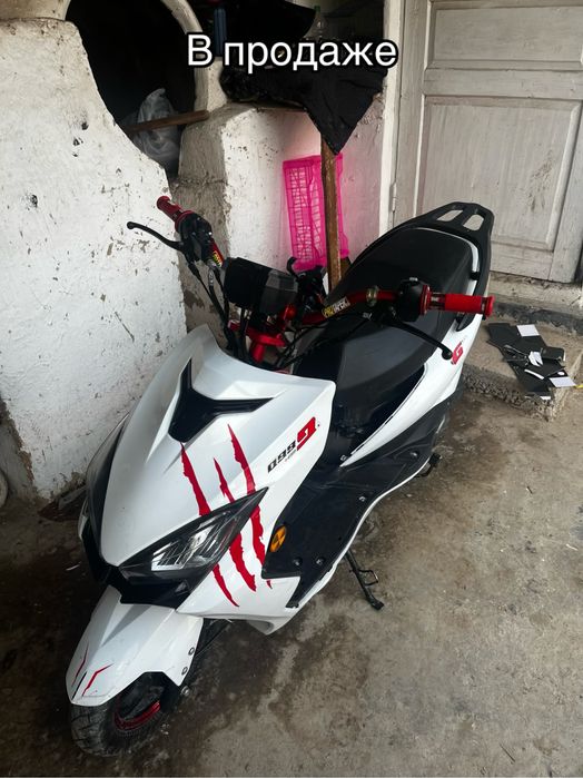 Продам мопед м10