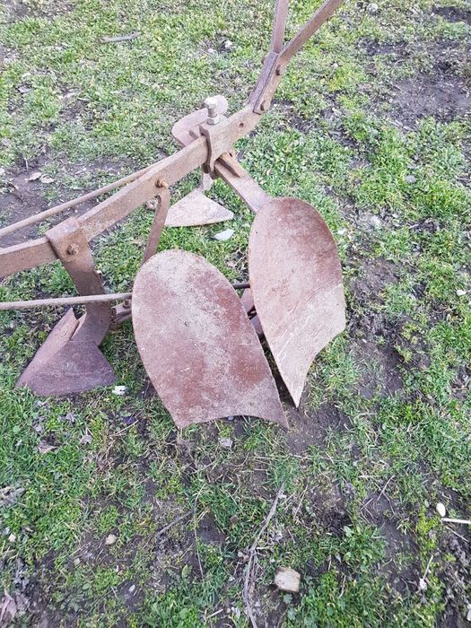 Prasitoare veche pentru cal