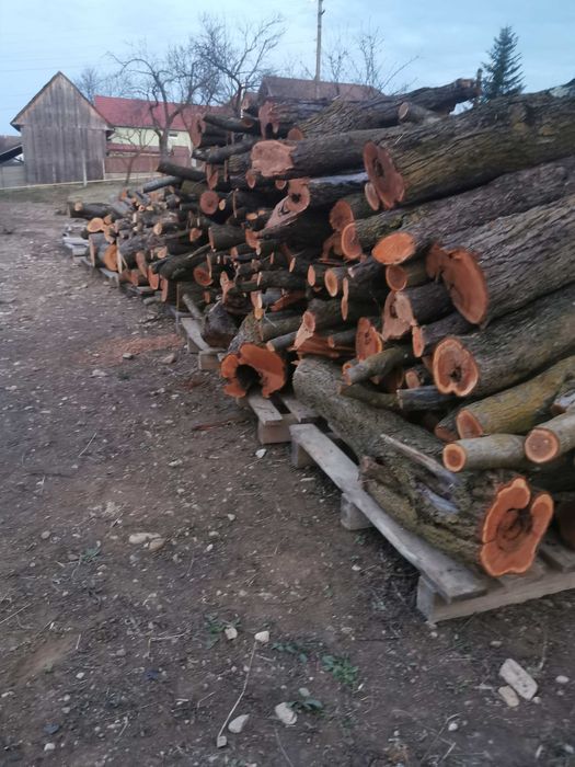 Lemne prun și mar  pentru afumat. sau pentru foc. 200ron/ms
