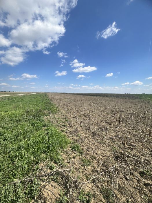 Teren agricol Slobozia Moară 8544 mp acces la drum asfaltat si la 1 km de DN7