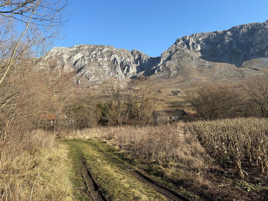 Teren 1.250 m² Rimetea, priveliște superbă, acces din 2 direcții