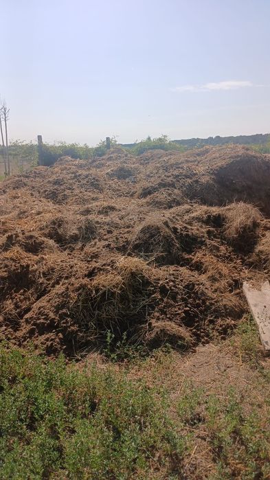 Ofer gratuit balegar de cal - ingrasamant natural, mranita